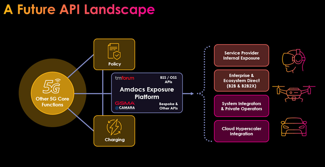 graphic - future API landscape