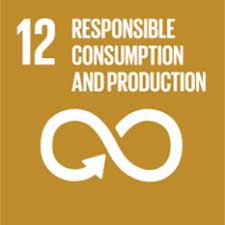 UN sustainability badge