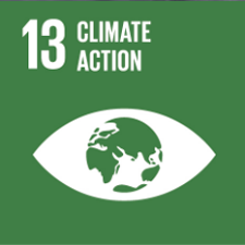 UN sustainability badge