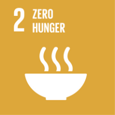 UN sustainability badge