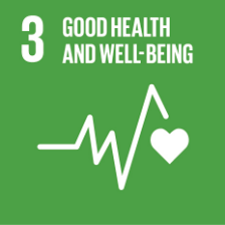 UN sustainability badge